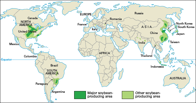 Soybean-producing areas of the world