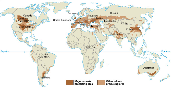 Wheat-producing areas of the world