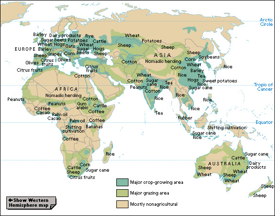 Agriculture in the Eastern Hemisphere