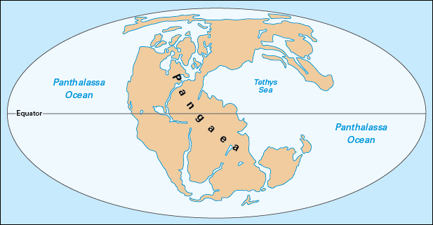 Triassic/Jurassic Period: geologic history