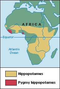 Where hippopotamuses live