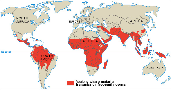 Malaria