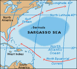 Sargasso Sea