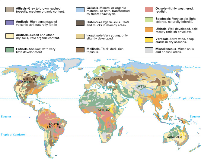 Soils of the world