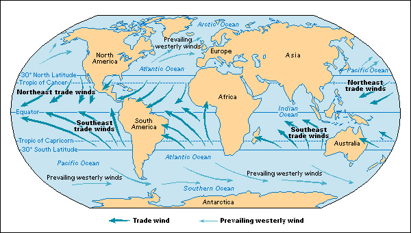 Trade winds