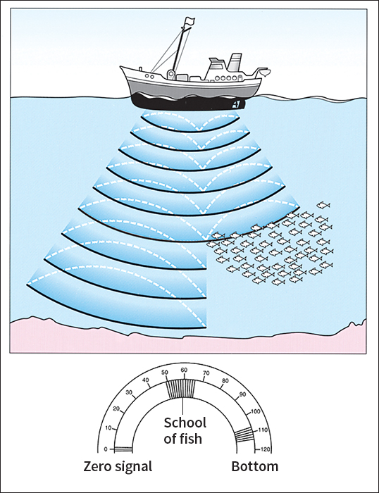 Fishing boat uses sonar