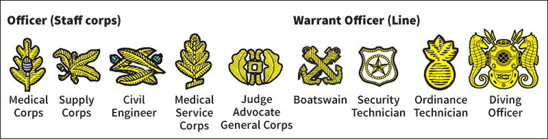 Some Navy officers' devices