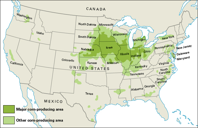 Corn-producing areas in the United States