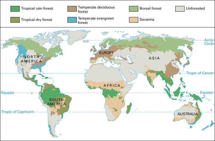 Forests of the world