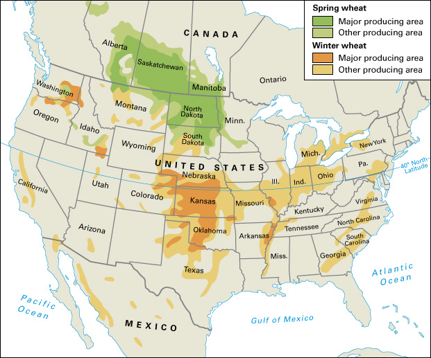 Wheat-producing areas in North America