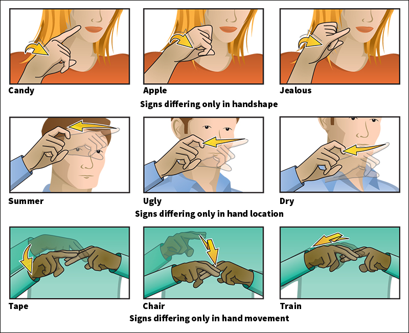 Related signs in American Sign Language