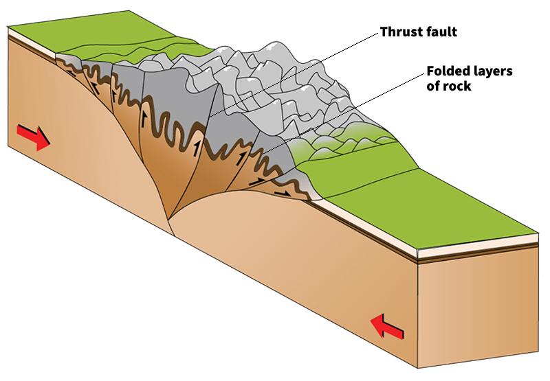 Fold-thrust mountains