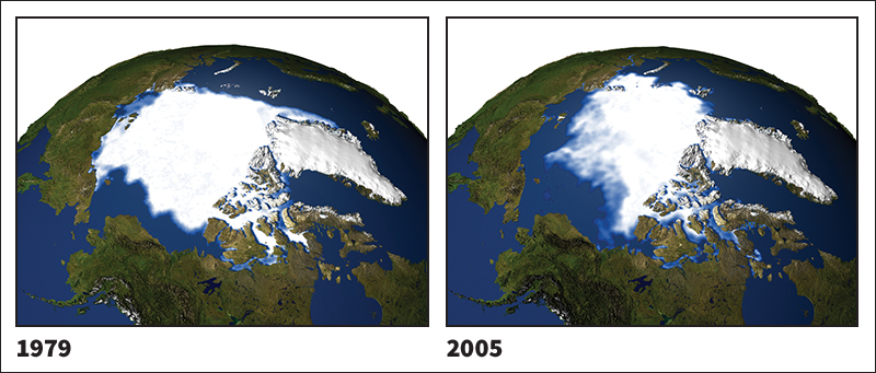 Decline of Arctic Ocean ice