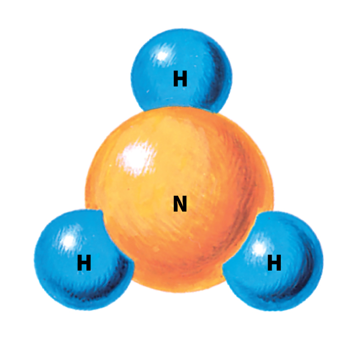 Ammonia molecule