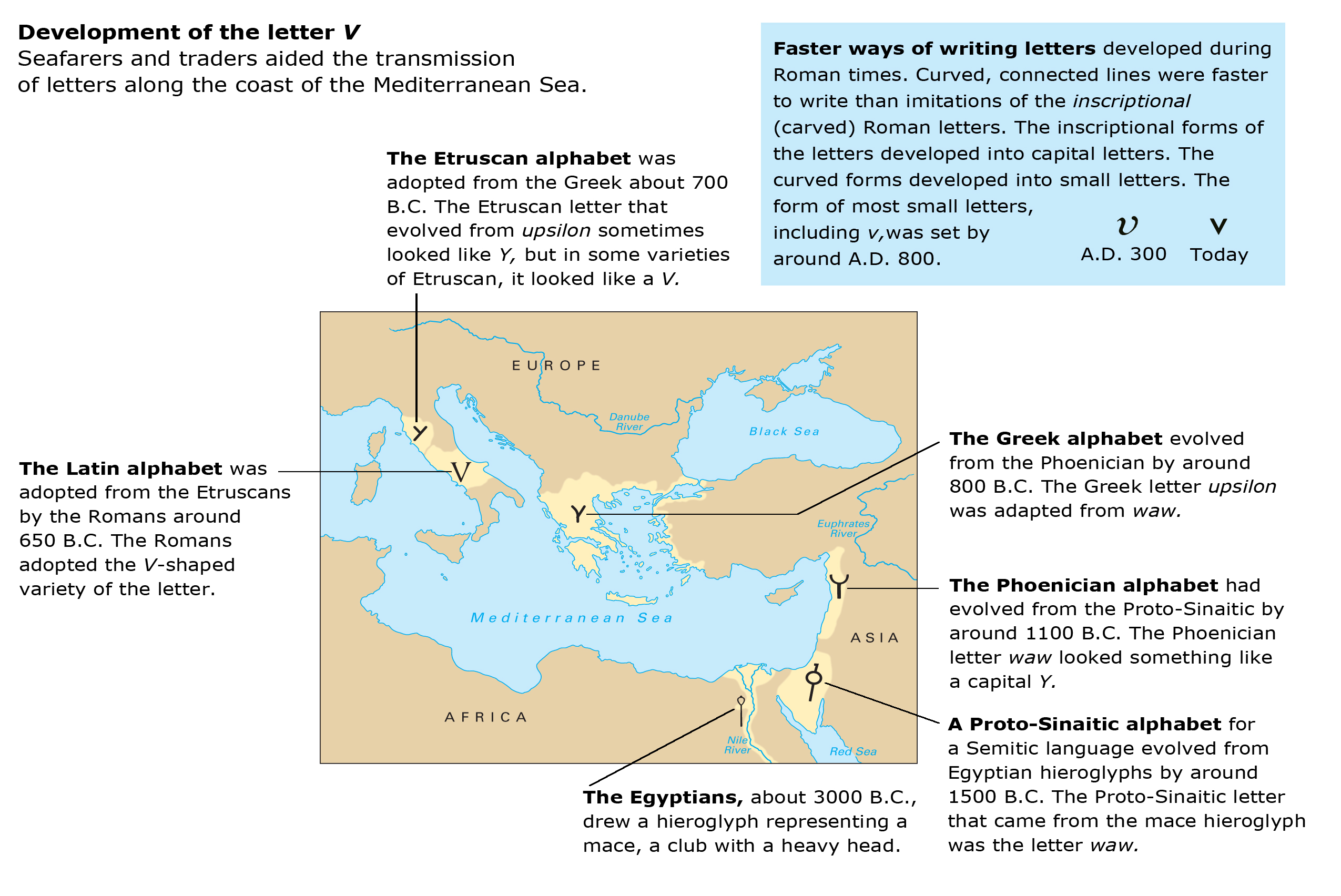 Development of letter V