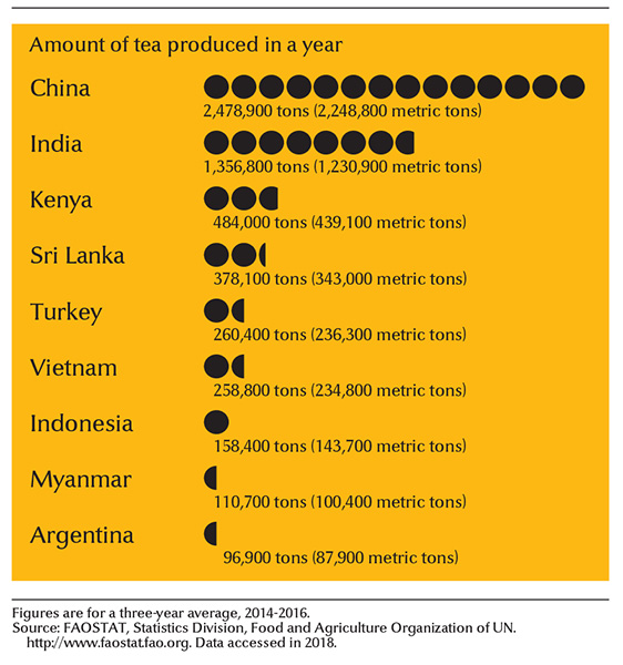 Leading tea-growing countries