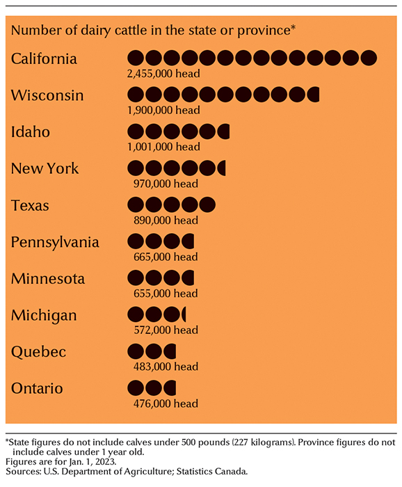 Leading dairy cattle states and provinces