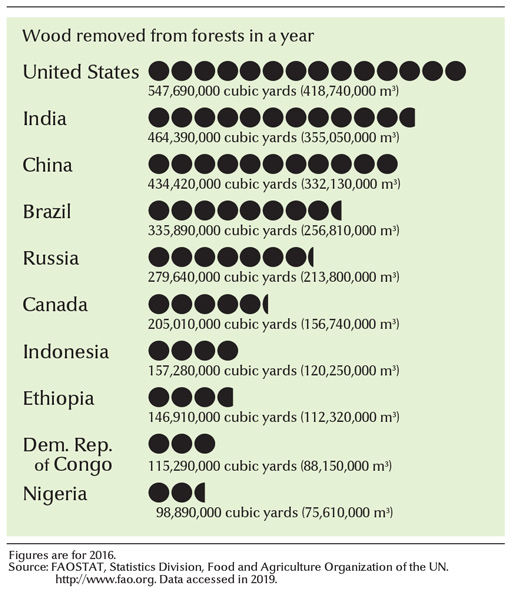 Leading countries in forest products