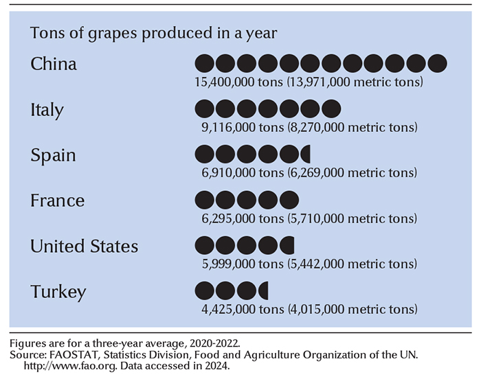 Leading grape-growing countries