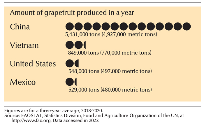 Leading grapefruit-growing states