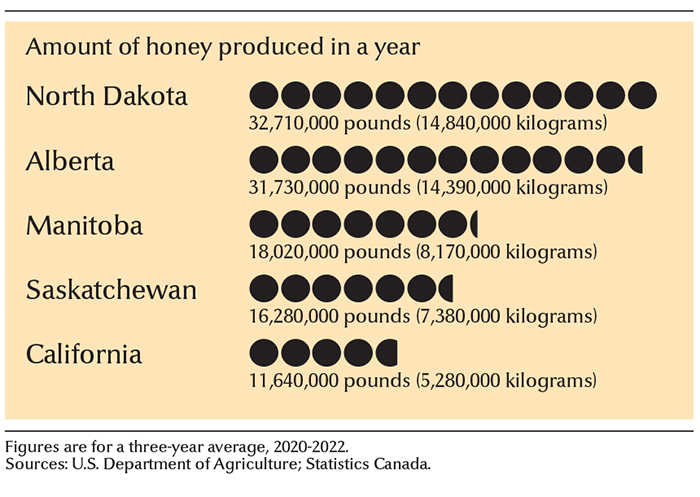 Leading honey-producing states and provinces