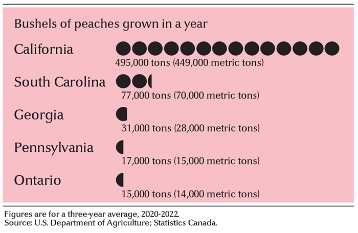 Leading peach-growing states and provinces