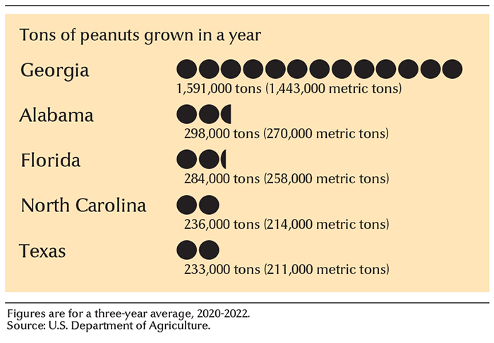 Leading peanut-growing states