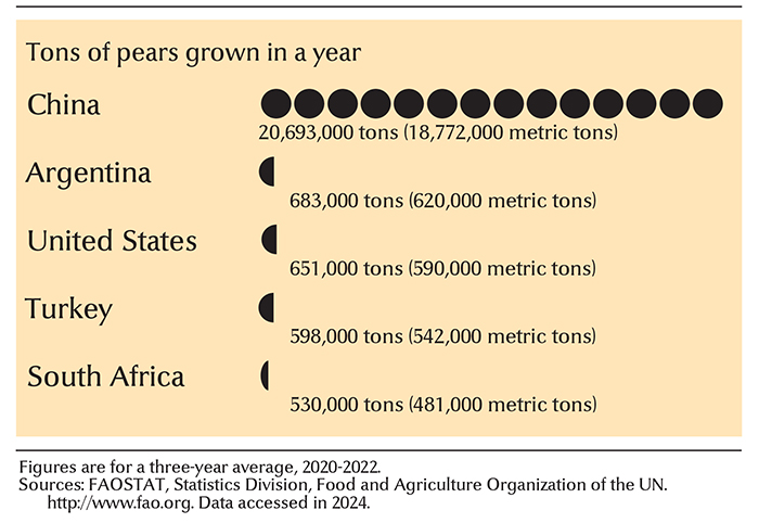 Leading pear-growing countries