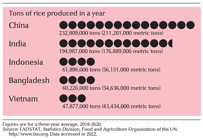 Leading rice-growing countries