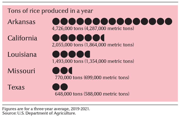 Leading rice-growing states