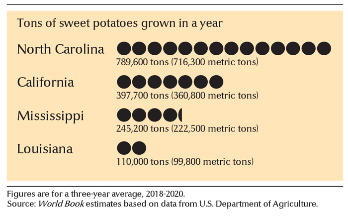 Leading sweet potato growing states