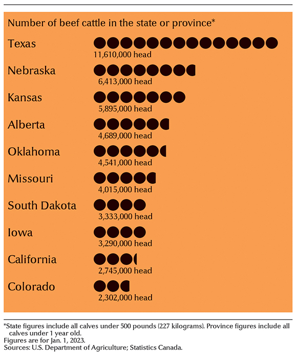 Leading beef cattle states and provinces