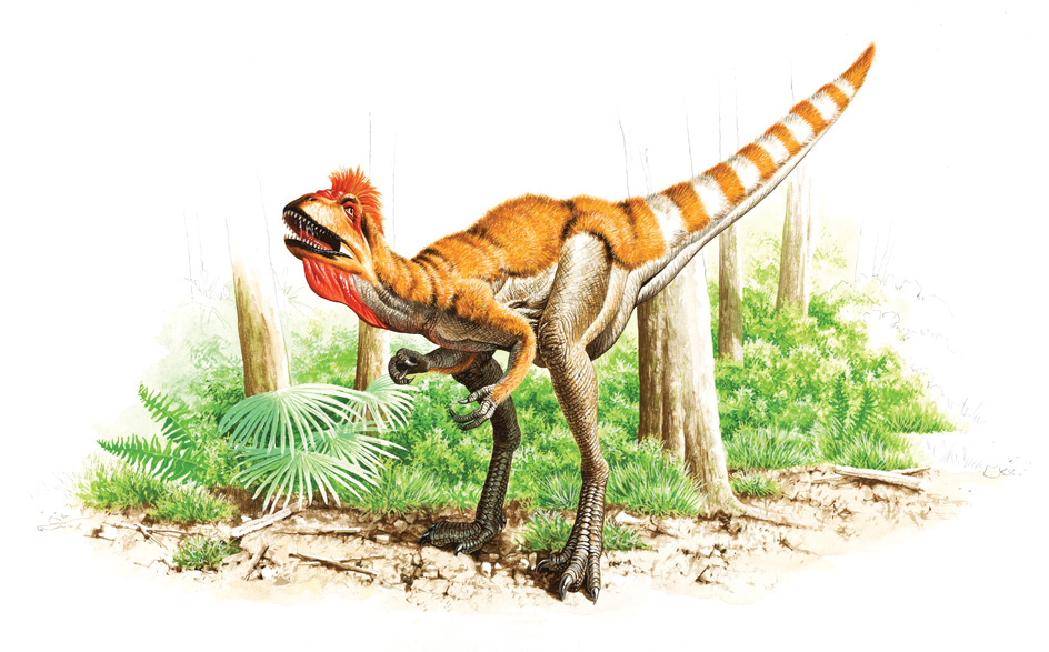 Sinosauropteryx