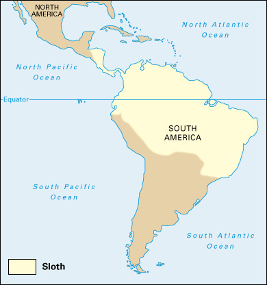 Where sloths live