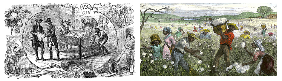 Cotton production in the southern United States in the 1800's