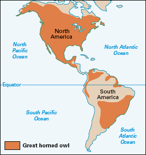 Where great horned owls live