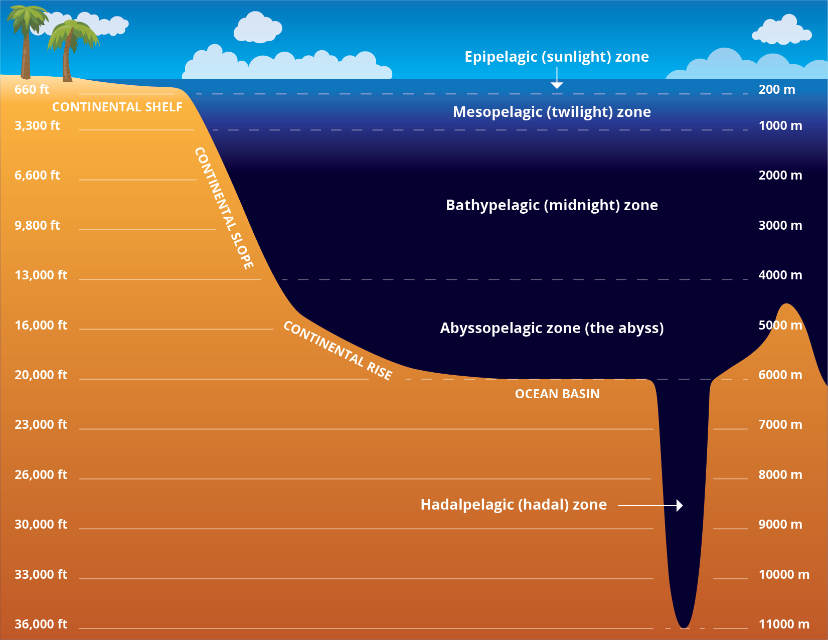 Ocean zones