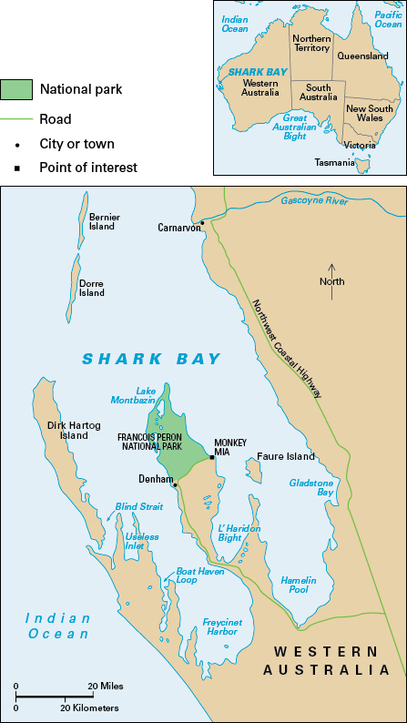 Shark Bay, Australia