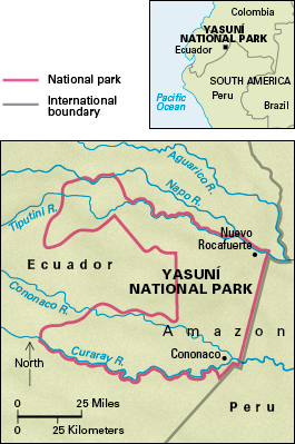 Yasuní National Park, Ecuador