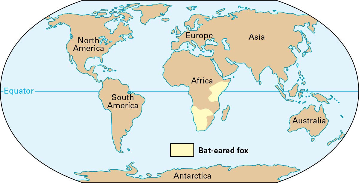 Natural range of the bat-eared fox