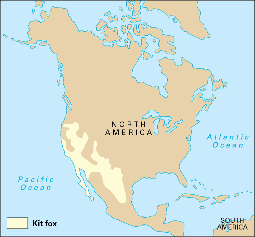 Natural range of the kit fox