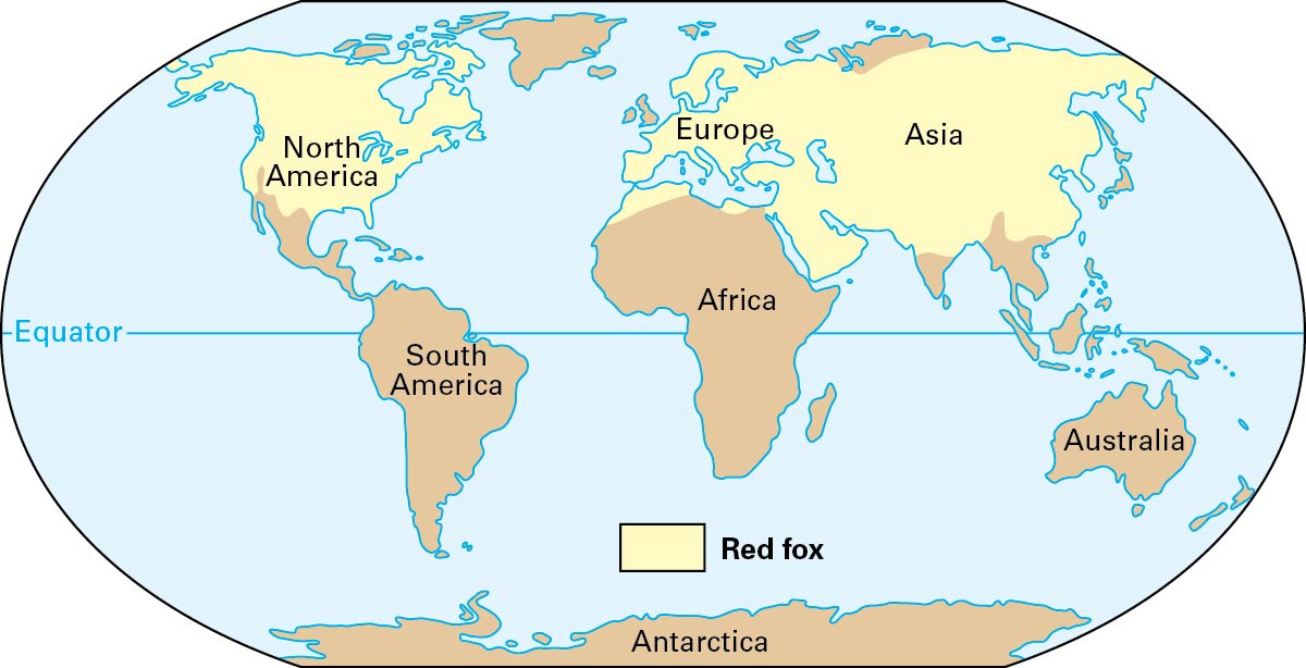 Natural range of the red fox