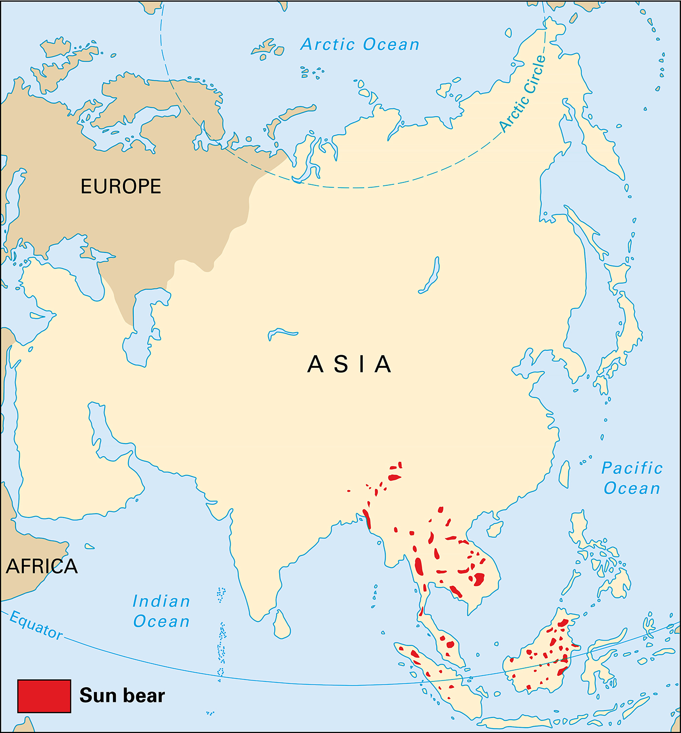 Where sun bears live