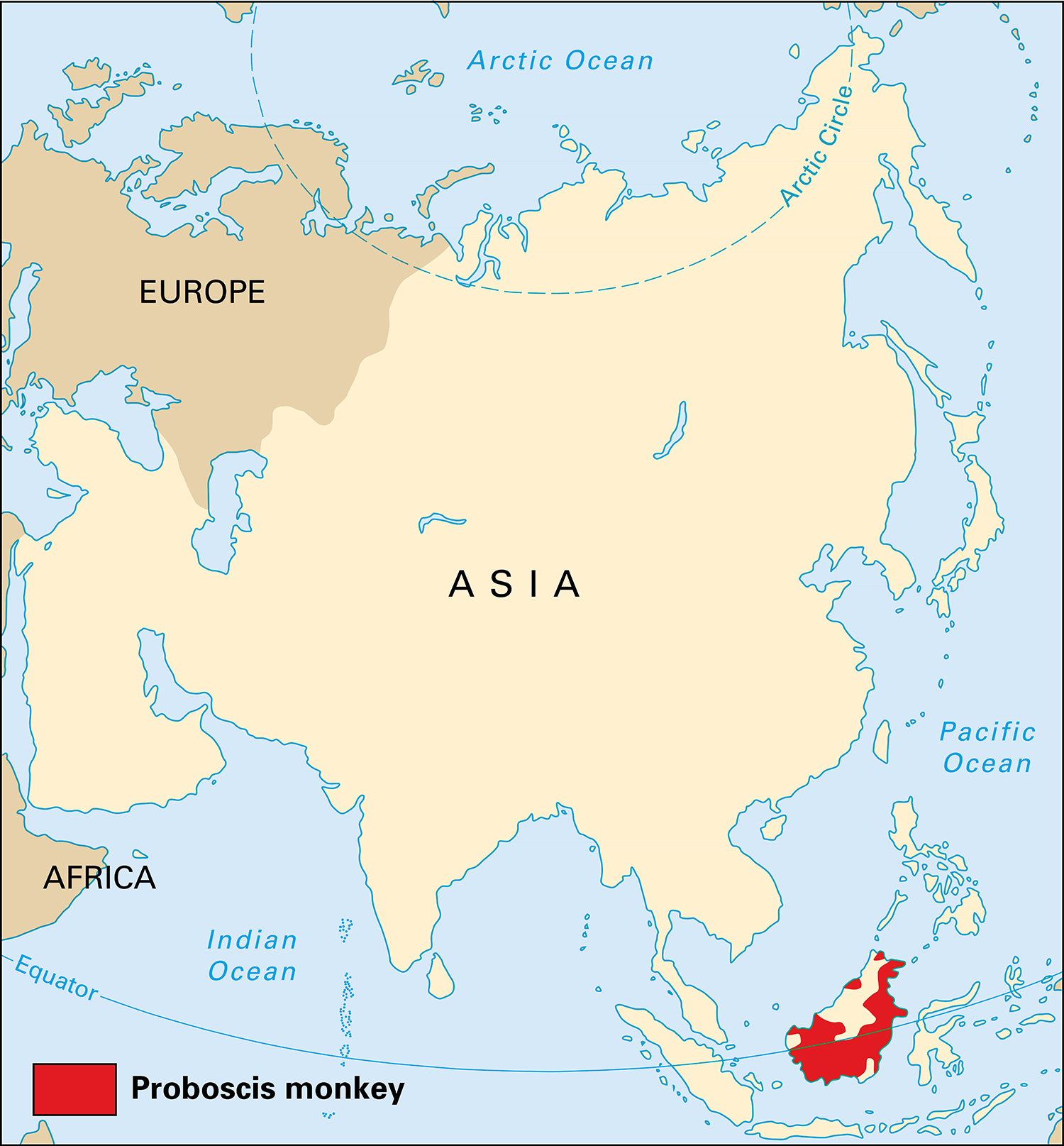 Where proboscis monkeys live