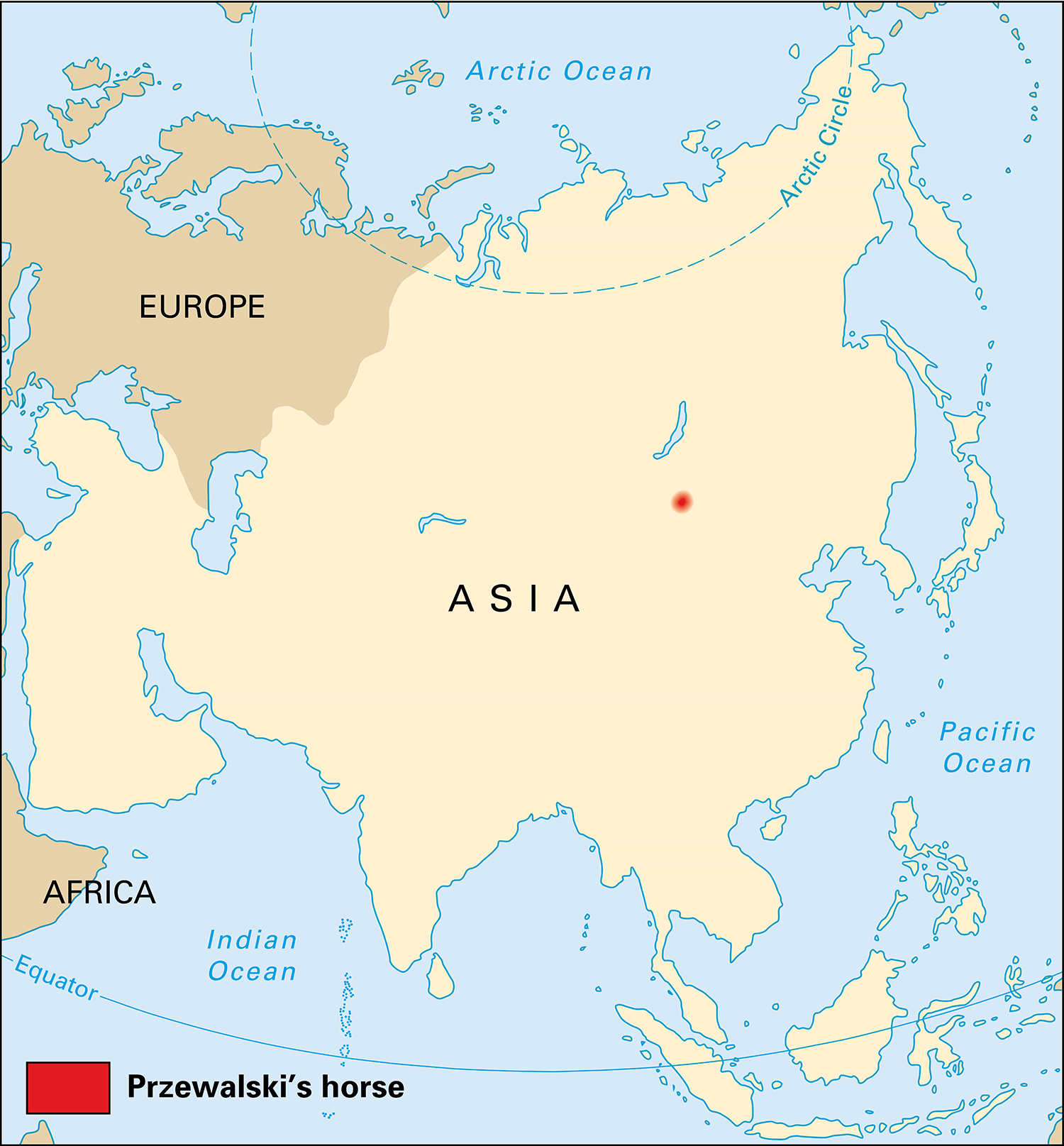 Where Przewalski's horses live