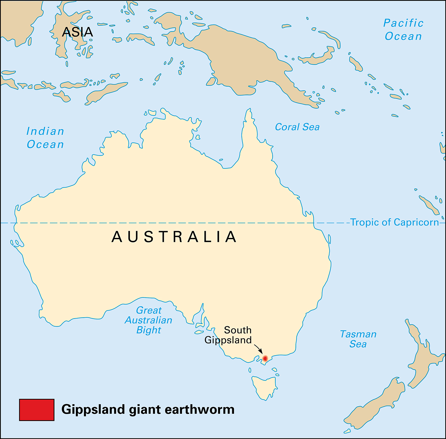 Where Gippsland giant earthworms live