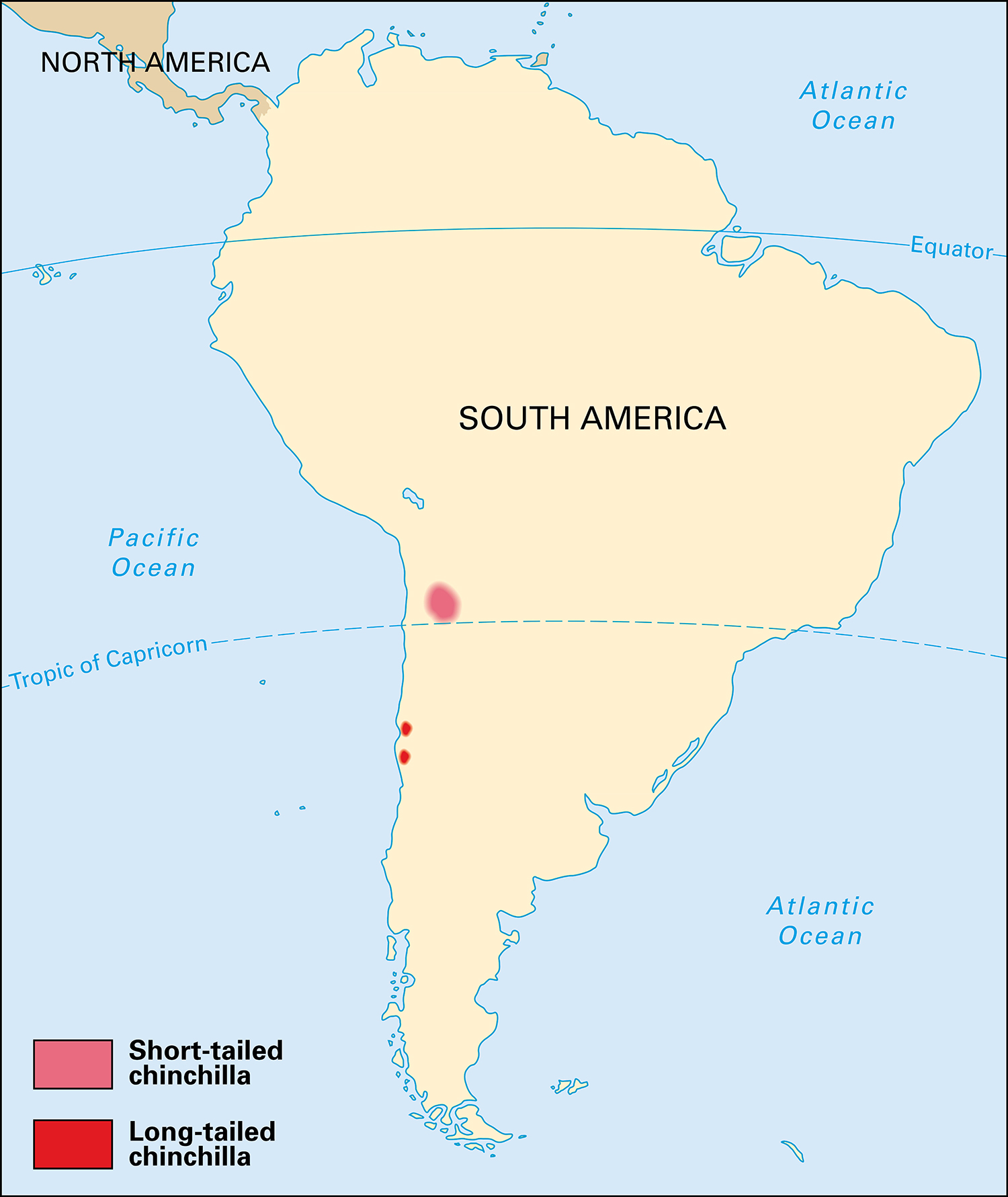 Where short-tailed and long-tailed chinchillas live