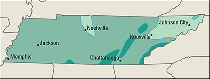 Average yearly precipitation in Tennessee