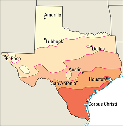 Average January temperatures in Texas