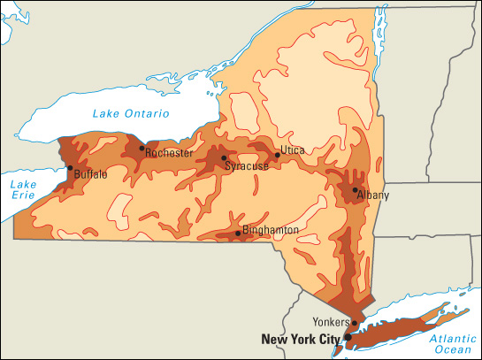 Population density in New York